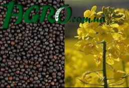 1agro.com.ua