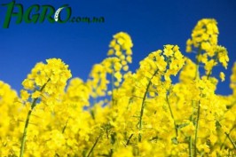 1agro.com.ua