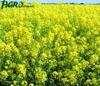 1agro.com.ua