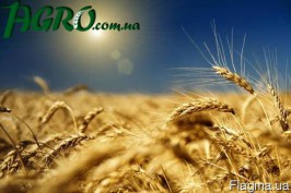 1agro.com.ua