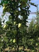 1agro.com.ua