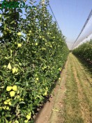 1agro.com.ua