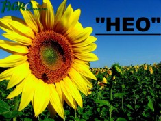 1agro.com.ua