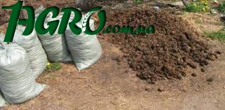 1agro.com.ua