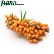 1agro.com.ua