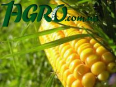 1agro.com.ua