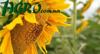1agro.com.ua