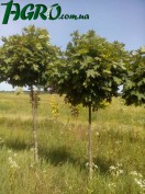 1agro.com.ua
