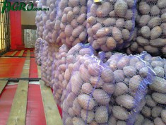 1agro.com.ua