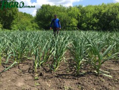 1agro.com.ua