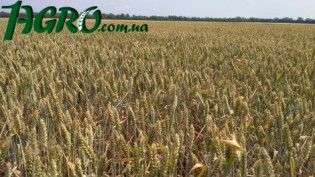 1agro.com.ua