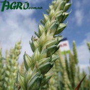 1agro.com.ua