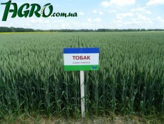 1agro.com.ua