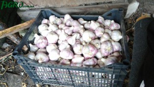 1agro.com.ua