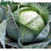 1agro.com.ua