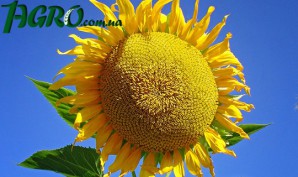 1agro.com.ua