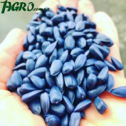 1agro.com.ua