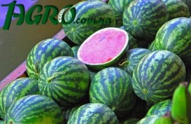 1agro.com.ua