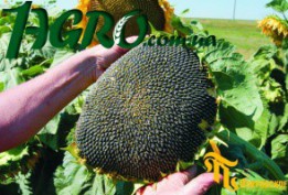 1agro.com.ua