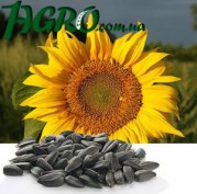 1agro.com.ua