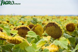 1agro.com.ua