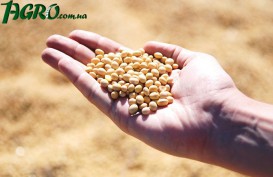 1agro.com.ua