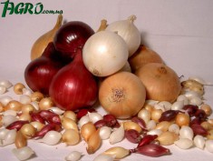 1agro.com.ua