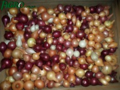 1agro.com.ua