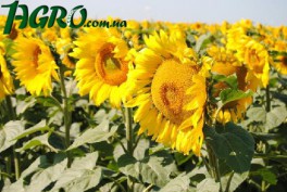 1agro.com.ua