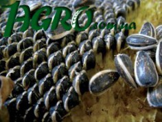1agro.com.ua