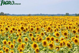 1agro.com.ua