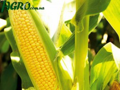 1agro.com.ua