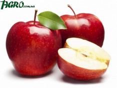 1agro.com.ua