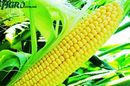 1agro.com.ua