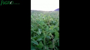 1agro.com.ua