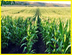 1agro.com.ua
