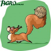 1agro.com.ua
