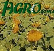 1agro.com.ua