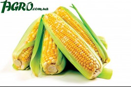 1agro.com.ua