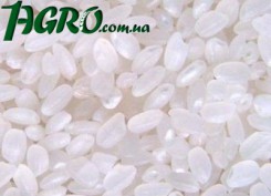 1agro.com.ua