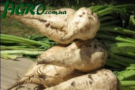 1agro.com.ua
