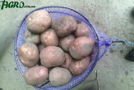 1agro.com.ua