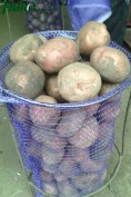 1agro.com.ua