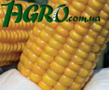 1agro.com.ua