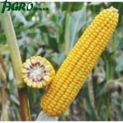 1agro.com.ua