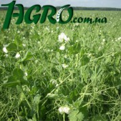1agro.com.ua