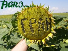 1agro.com.ua