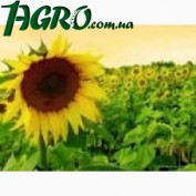 1agro.com.ua