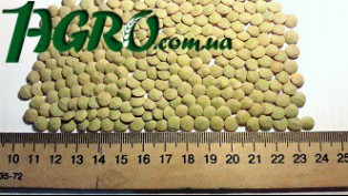 1agro.com.ua