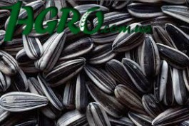 1agro.com.ua